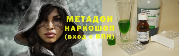 прущие грибы Волоколамск