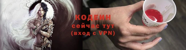 прущие грибы Волоколамск