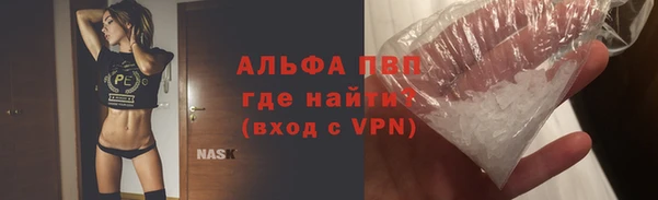 прущие грибы Волоколамск