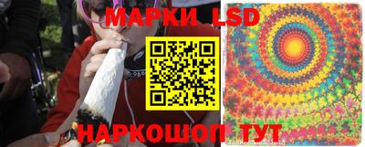 шишки Бийск