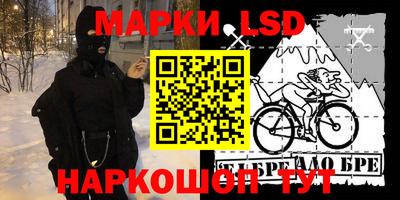 шишки Бийск