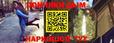 шишки Бийск