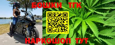 шишки Бийск