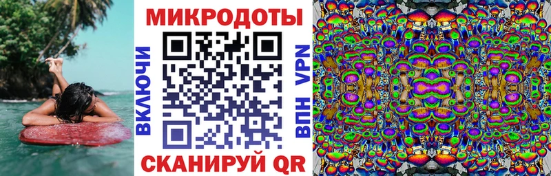 Псилоцибиновые грибы Psilocybine cubensis  Добрянка 