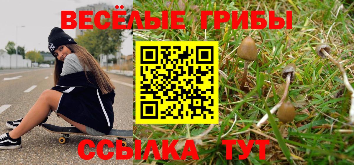 как найти закладки  Добрянка  Псилоцибиновые грибы Magic Shrooms  Галлюциногенные грибы мухоморы 
