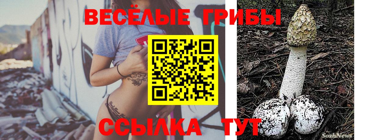 Галлюциногенные грибы прущие грибы Добрянка