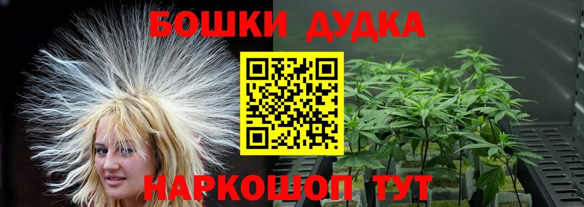Каннабис SATIVA & INDICA  Вход с VPN  Добрянка  Каннабис SATIVA & INDICA 